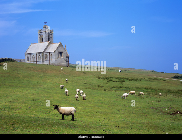 sheep-grazing-around-st-helenas-church-o