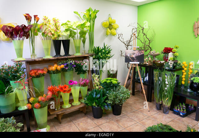 interior-of-flower-shop-a-little-bit-of-