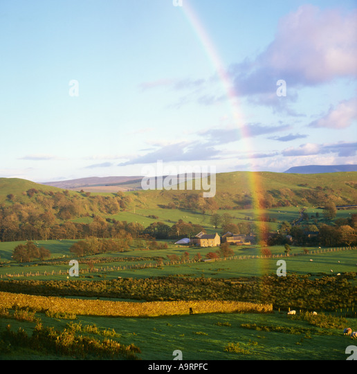 late-evening-light-and-rain-forms-a-rain