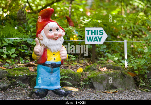 gnome-at-the-west-putnam-gnome-reserve-i