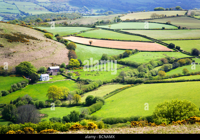 farmland-from-meldon-hill-chagford-devon