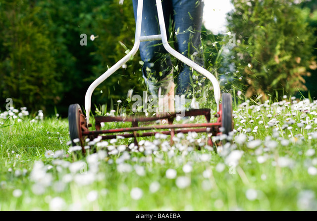 lawn-mower-in-the-grass-sweden-baaeba.jp