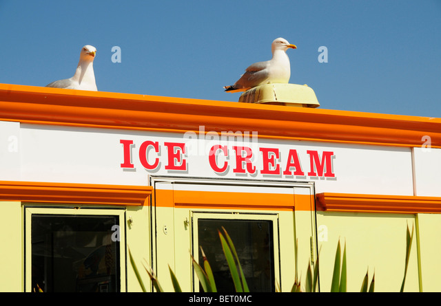 seagulls-on-an-ice-cream-shop-st-ives-co
