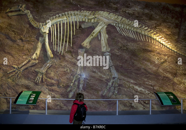 iguanodon-at-dinosaur-isle-sandown-isle-
