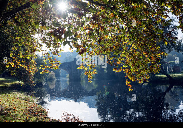 autumn-platanus-tree-in-the-arnoia-river
