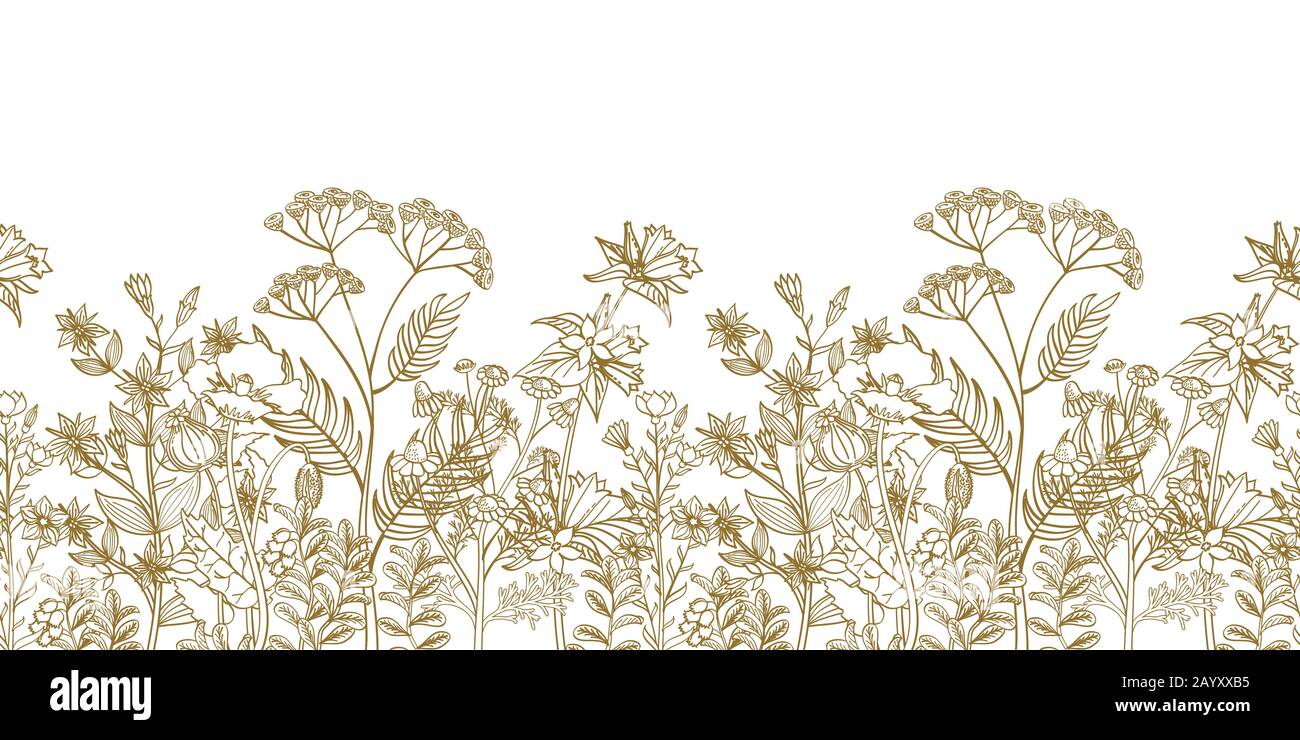 Seamless vector floral border with black white hand drawn herbs and