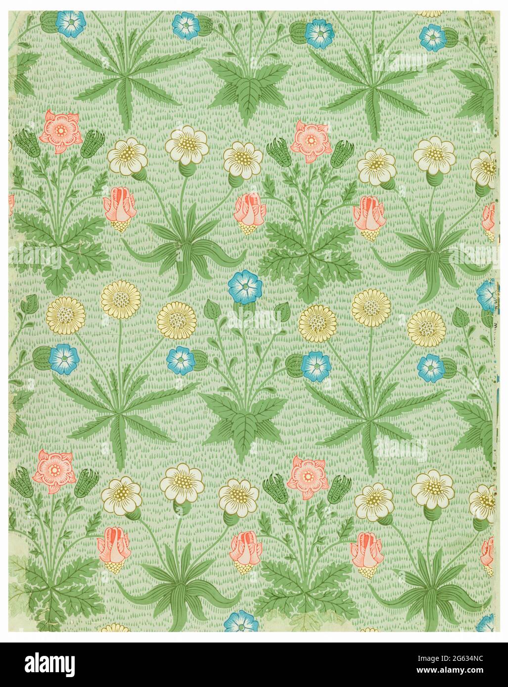 William Morris, Daisy, wallpaper pattern, 1864 Stock Photo - Alamy
