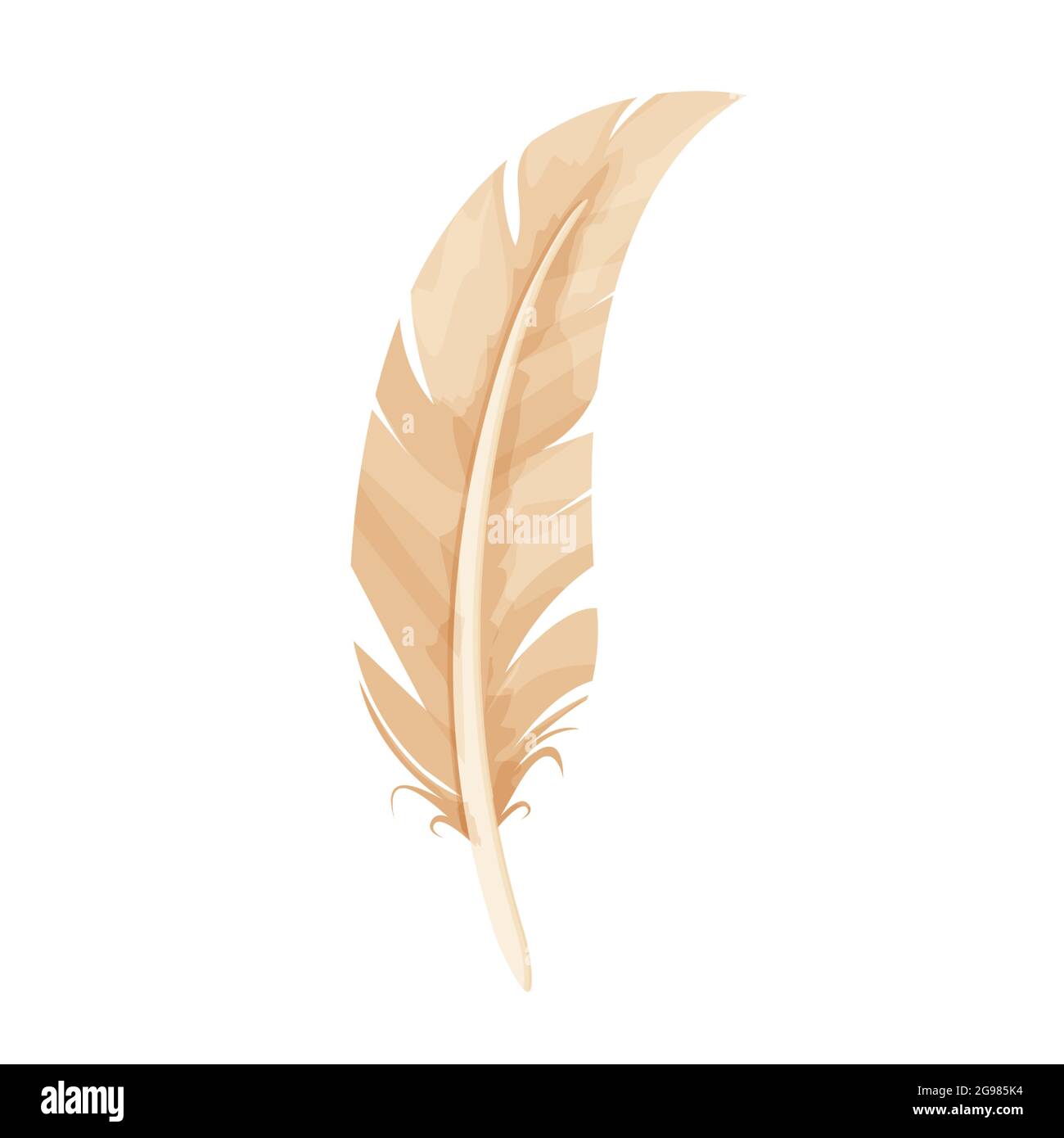 Bird feather, ancient quill in cartoon style isolated on white