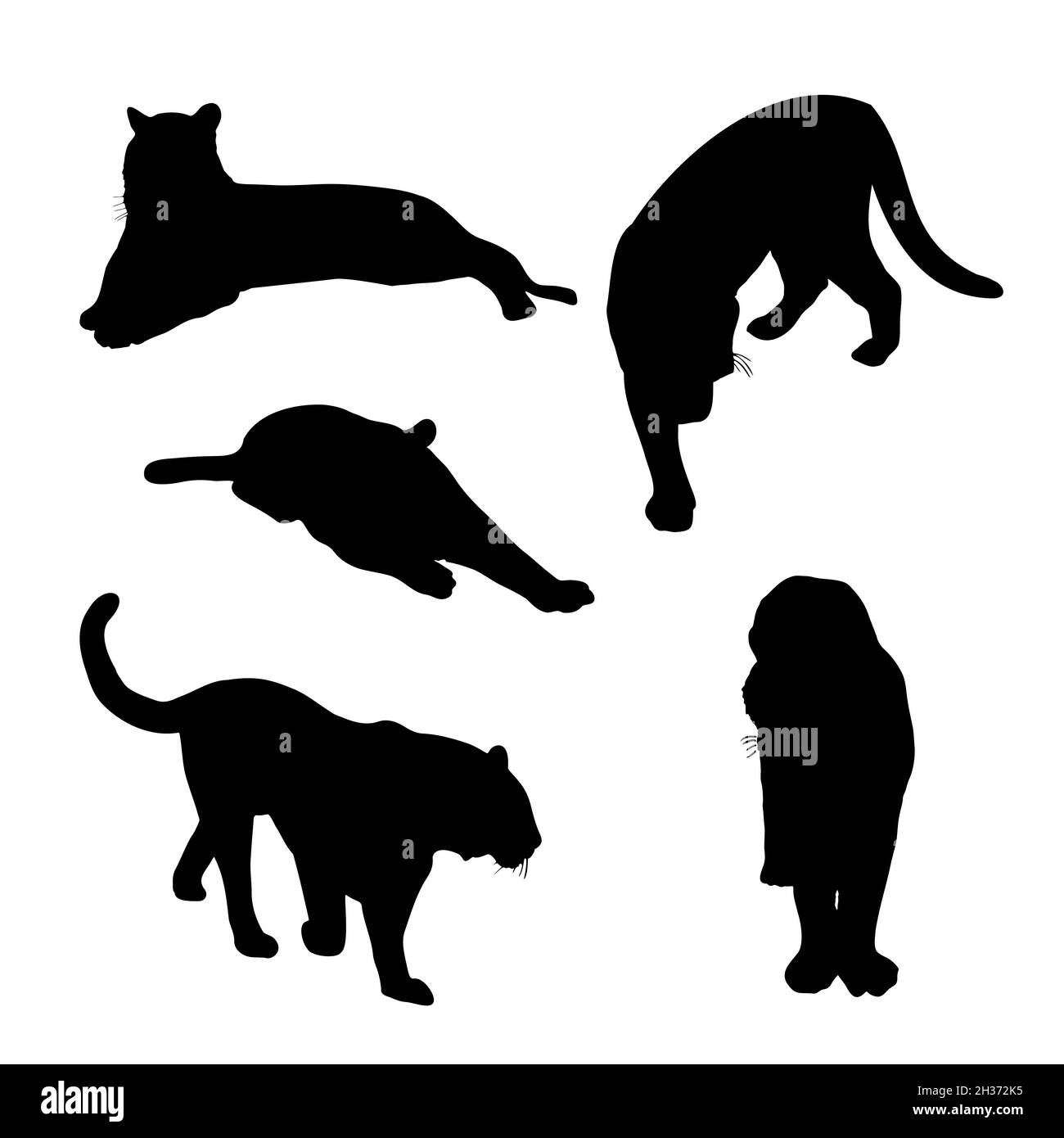 Set of big tiger black silhouettes. Chinese tigers in different poses ...