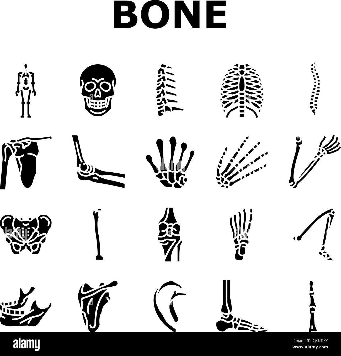 Bone Human Skeleton Structure Icons Set Vector Stock Vector Image & Art ...