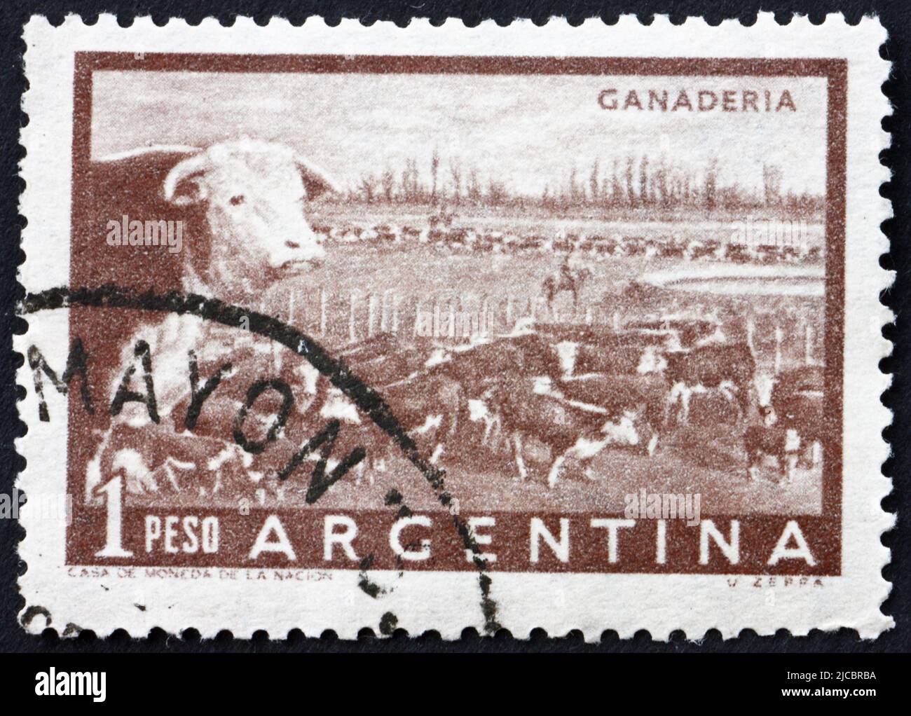 ARGENTINA - CIRCA 1958: a stamp printed in the Argentina shows Cattle ...