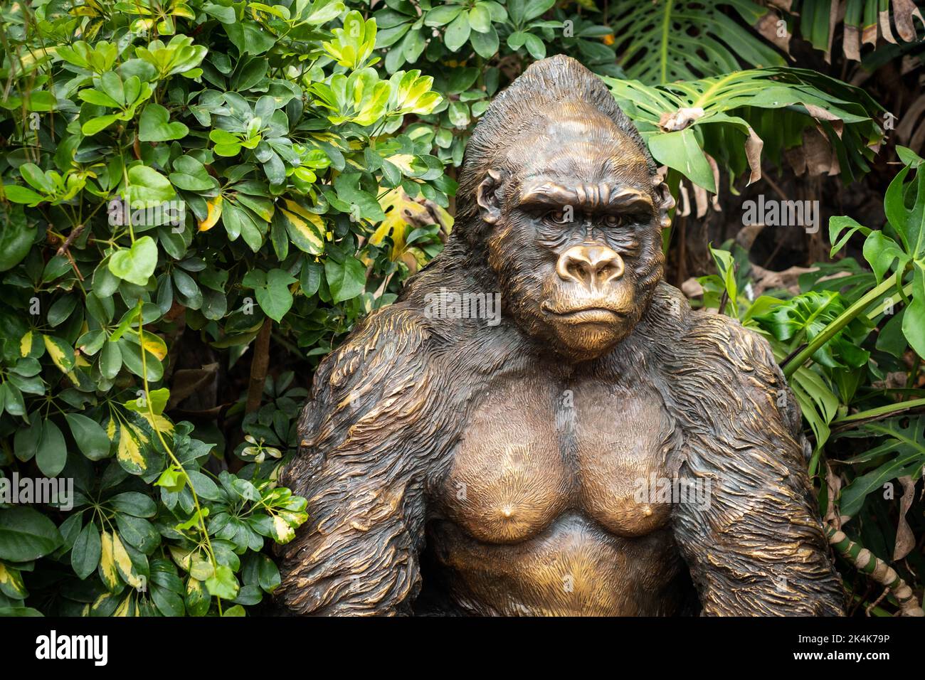 Tenerife, Spain - August, 2022: Gorilla statue at Loro Parque in ...