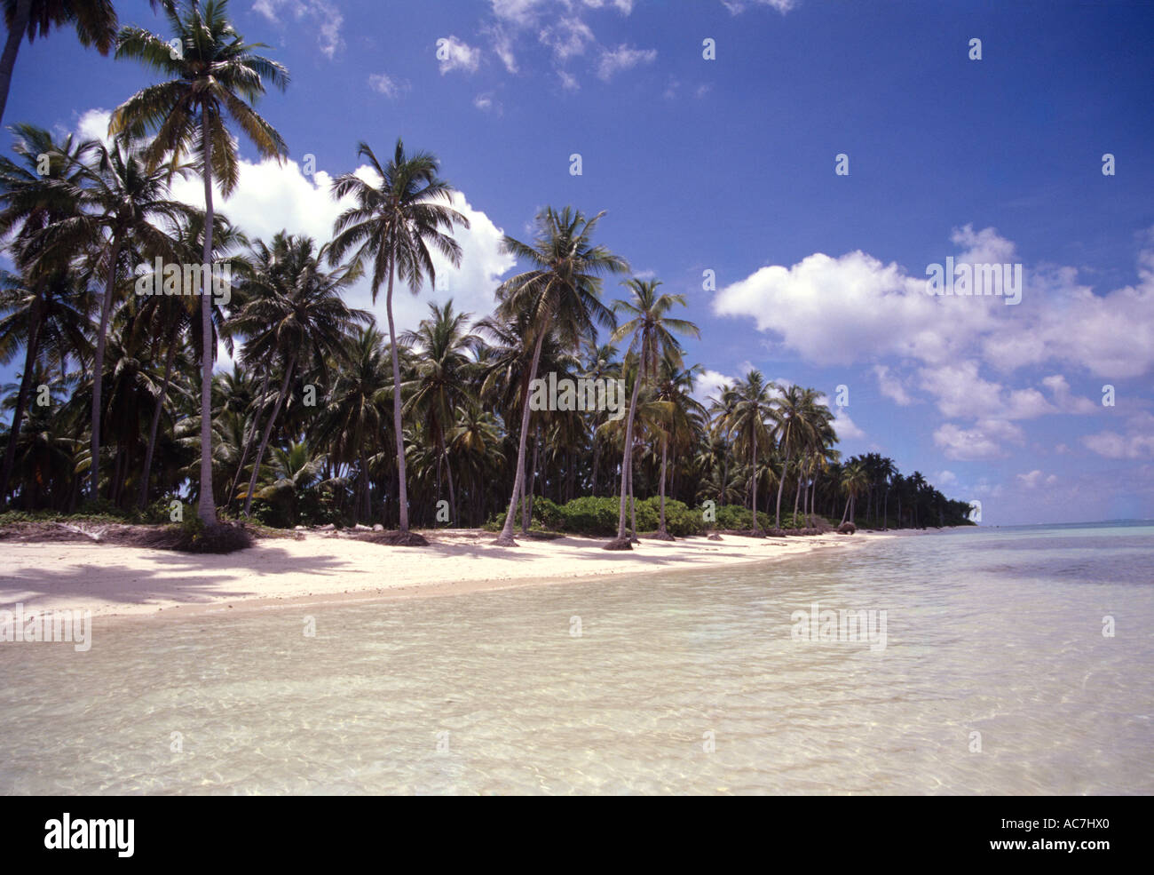 CLEAR WATER AND SAND OF LAKSHADWEEP Stock Photo - Alamy
