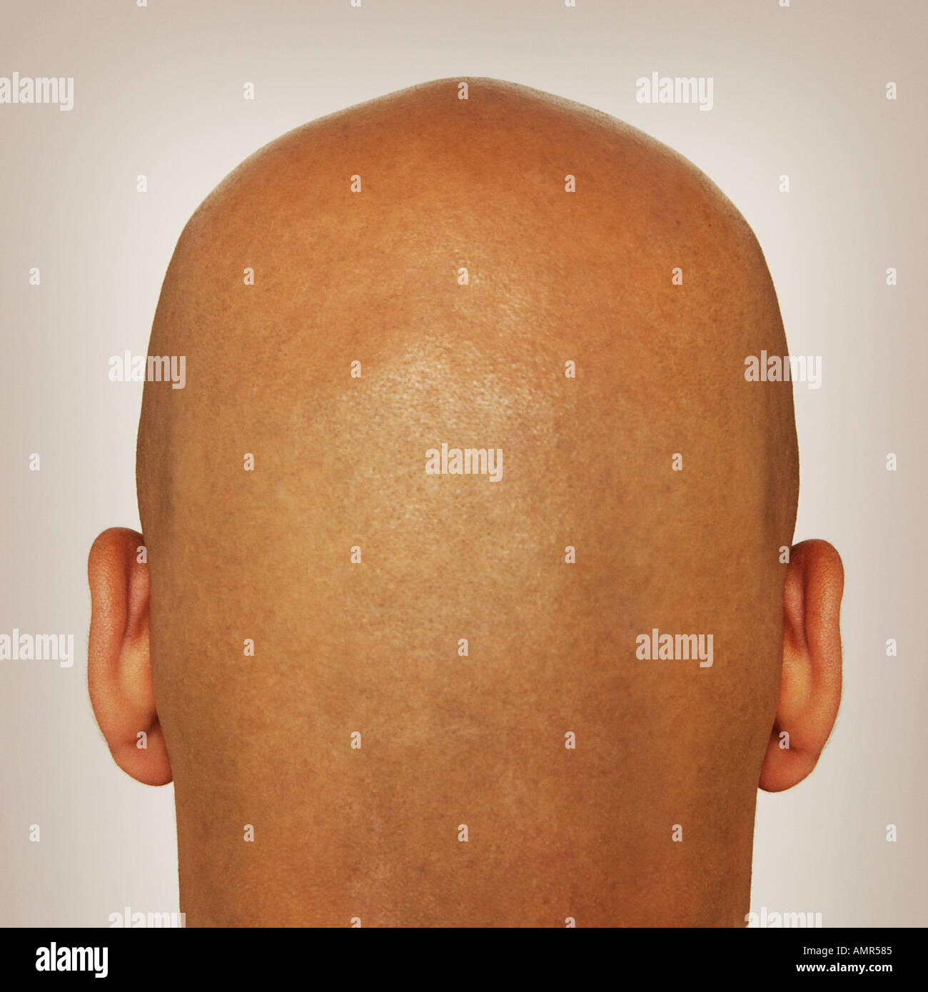 Back Of Bald Man S Head Stock Photo Alamy