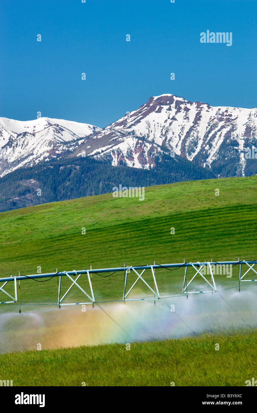 Irrigation Wheel In Pasture With Rainbow And Wallowa Mountains Wallowa