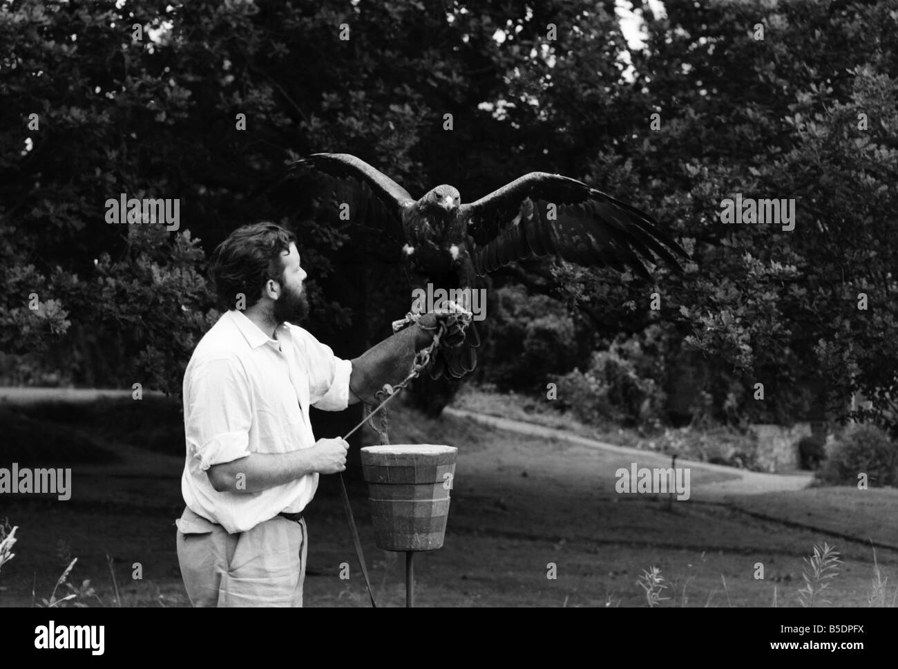 TV Zoologist Grahame Dangerfield. 1963 A978-008 Stock Photo - Alamy