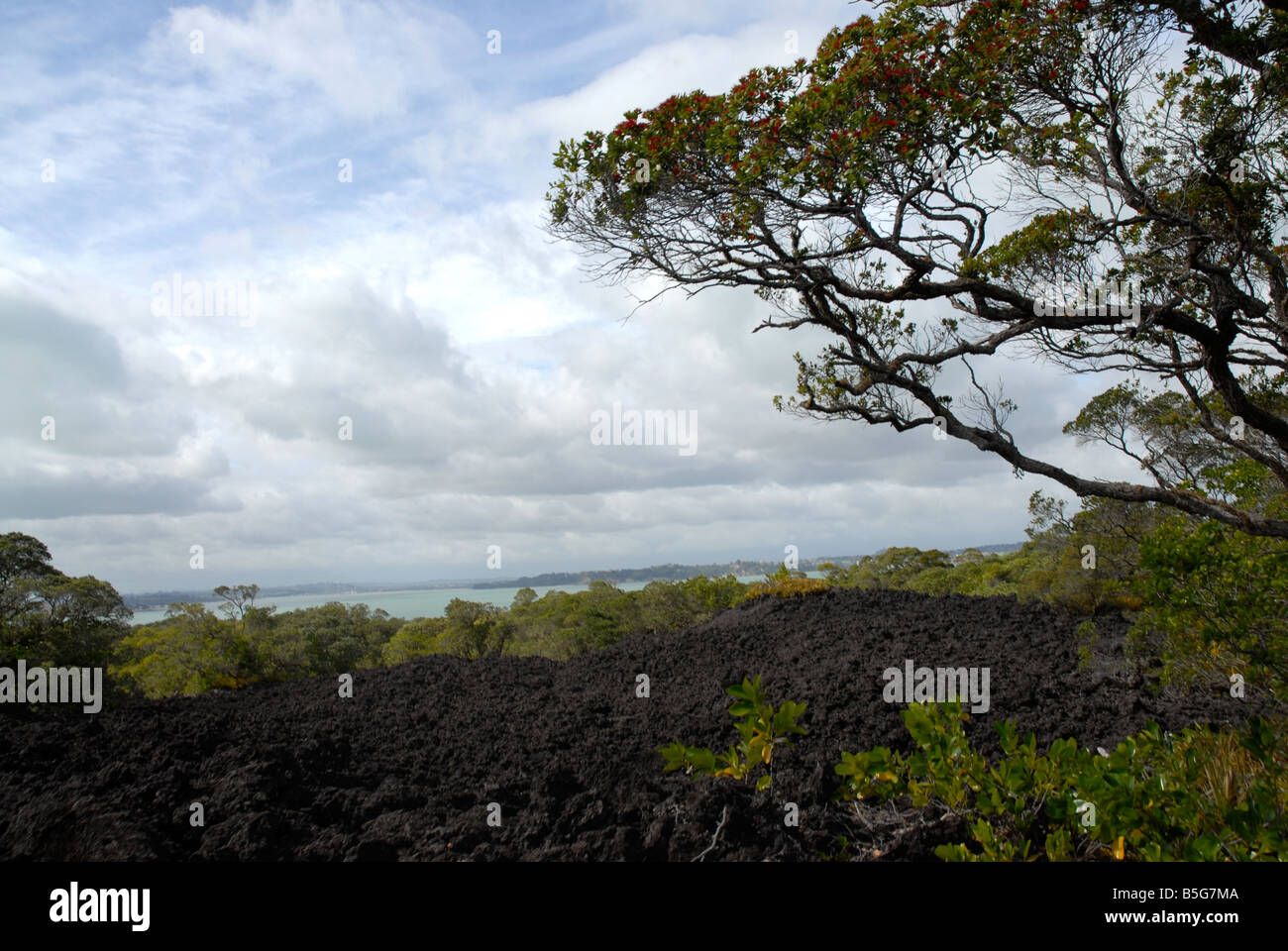 Volcanic black rock Rangitoto Island New Zealand Stock Photo - Alamy