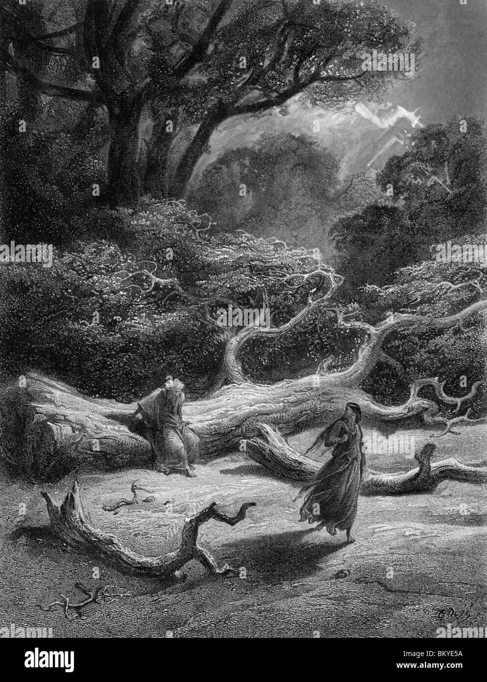 Vivien encloses Merlin in trees by Gustave Dore from Idylls of the King ...
