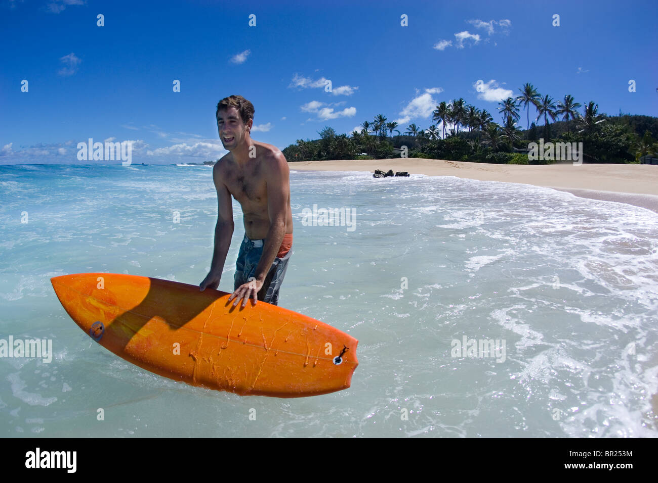man with surfboard in Hawaii Stock Photo - Alamy