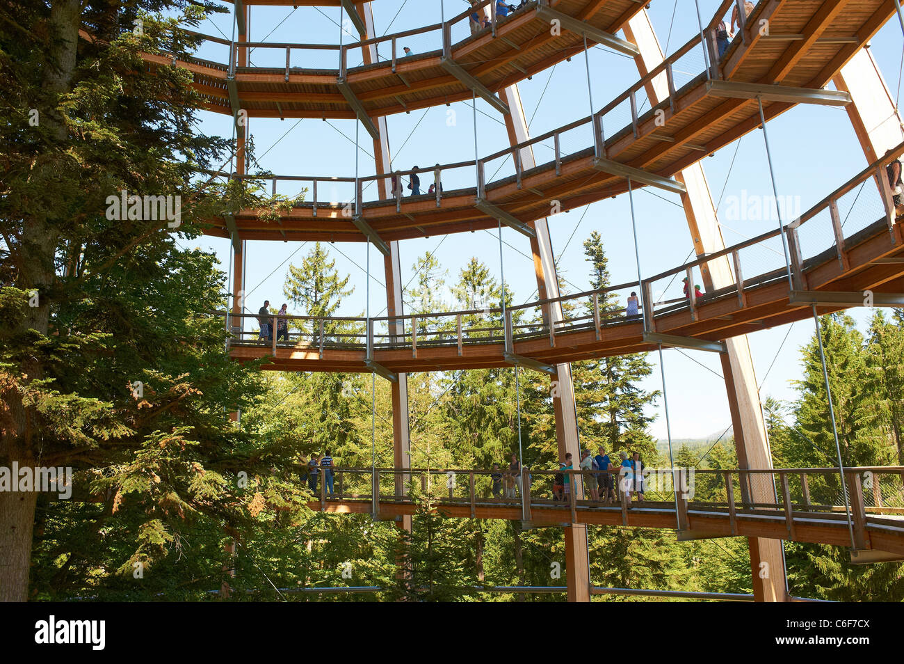 The World´s Longest Tree Top Walk Tree Tower Bavarian Forest