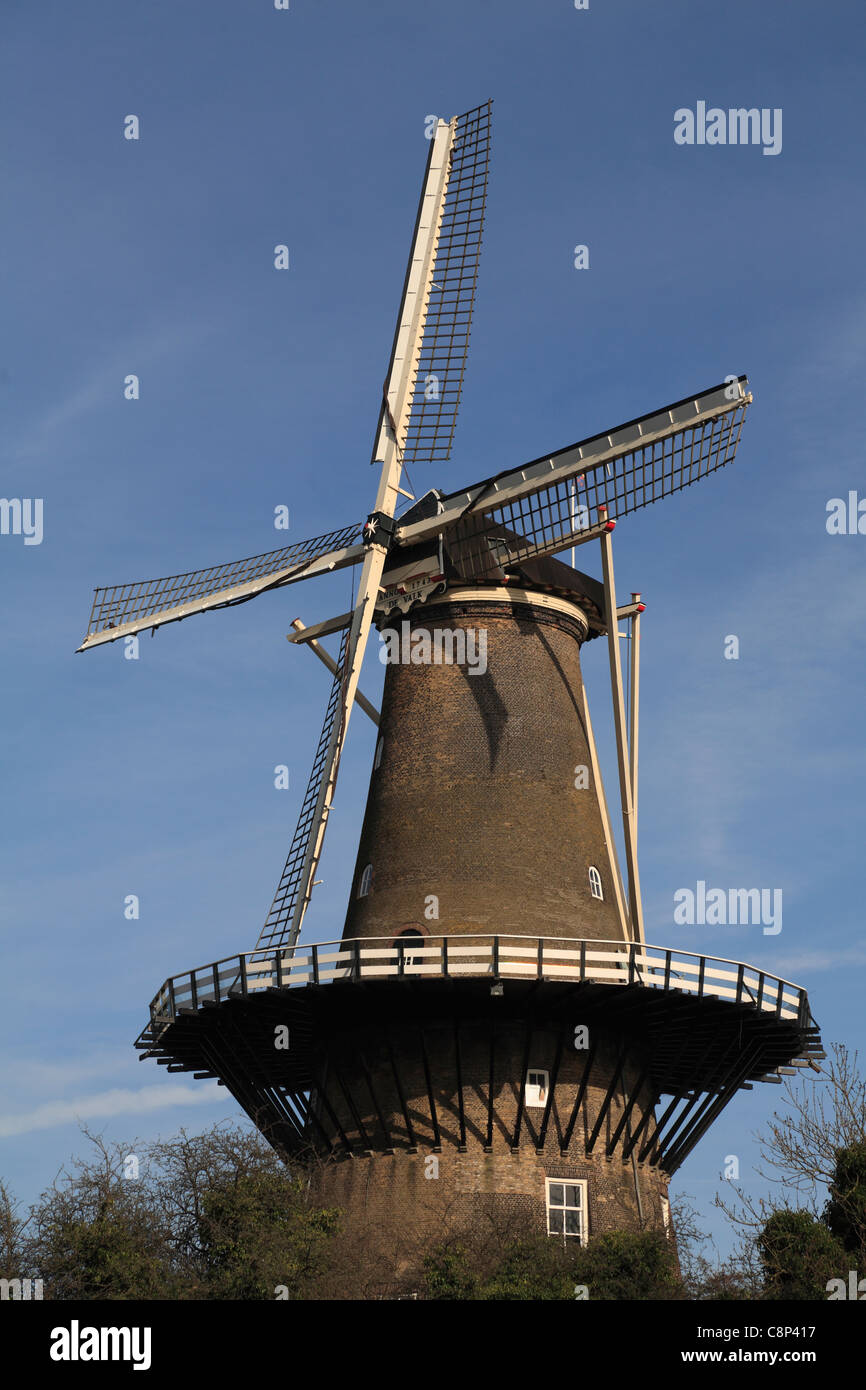 Dutch Windmill In Leiden Molen De Valk Museum Molenmuseum Seen From Rijnsbergersingel Holland 