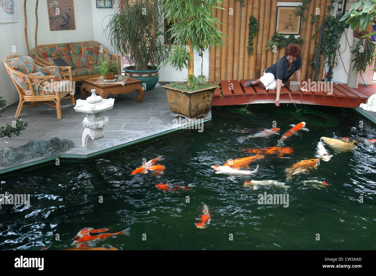 Indoor koi pond in Reigoldswil (Switzerland Stock Photo - Alamy