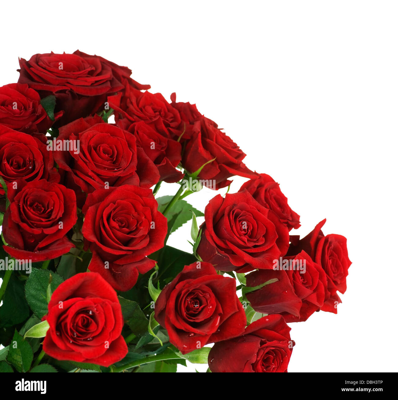 Big Red Roses Bouquet Stock Photo - Alamy