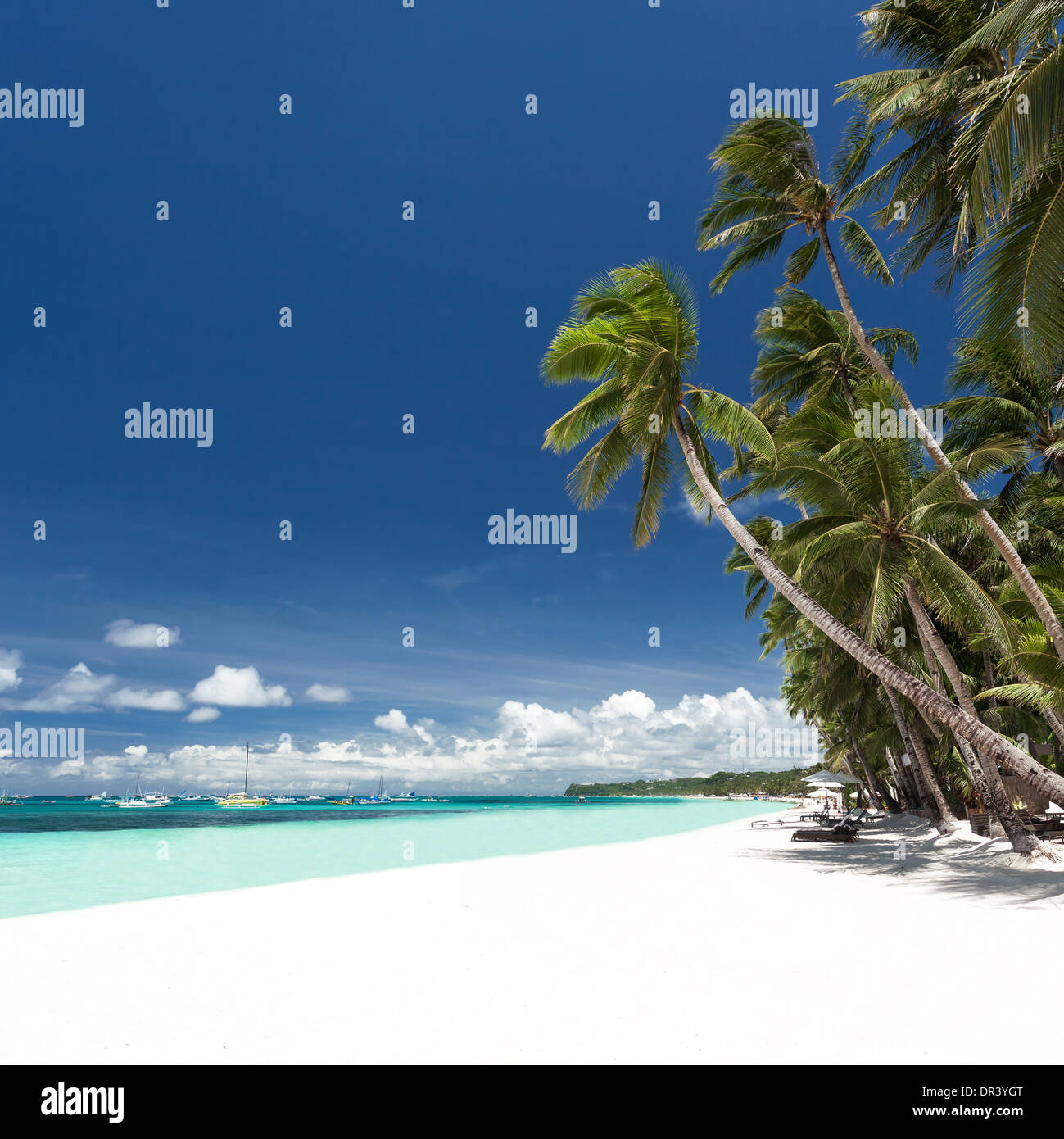 Tropical beach with palm and white sand, Philippines, Boracay Stock ...