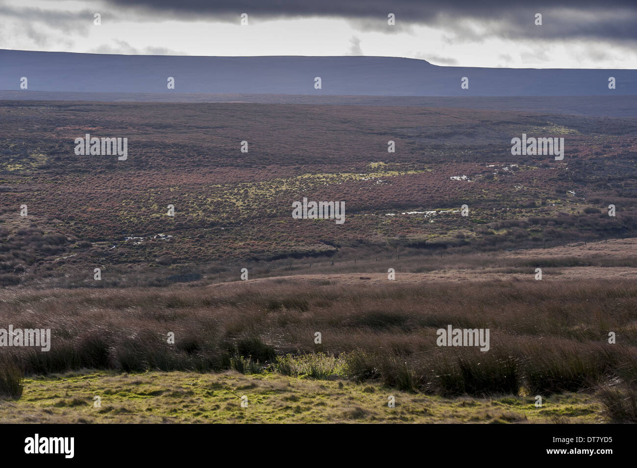 View Of Moorland Habitat Howden Moors Peak District Np Derbyshire