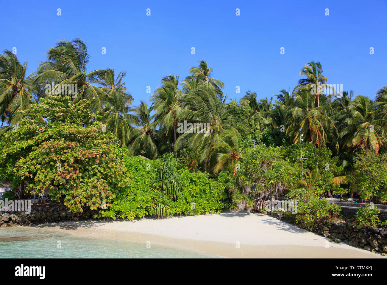 Maldives, Fihalhohi Island, resort, beach, palms Stock Photo - Alamy