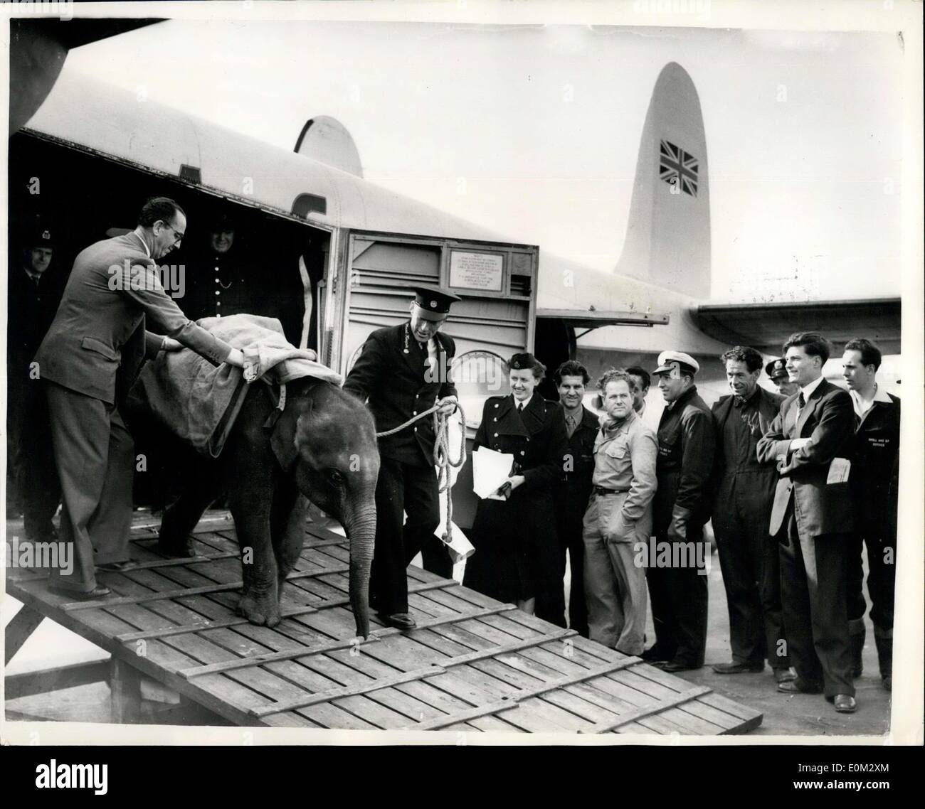 Apr. 11, 1953 - BABY ELEPHANT FOR LONDON ZOO ARRIVES: A baby elephant ...