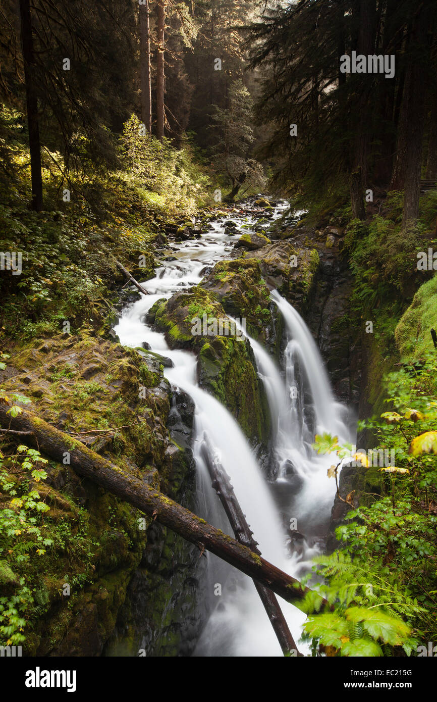 Sol Duc Falls In The Sol Duc River Valley Sol Duc Valley Washington