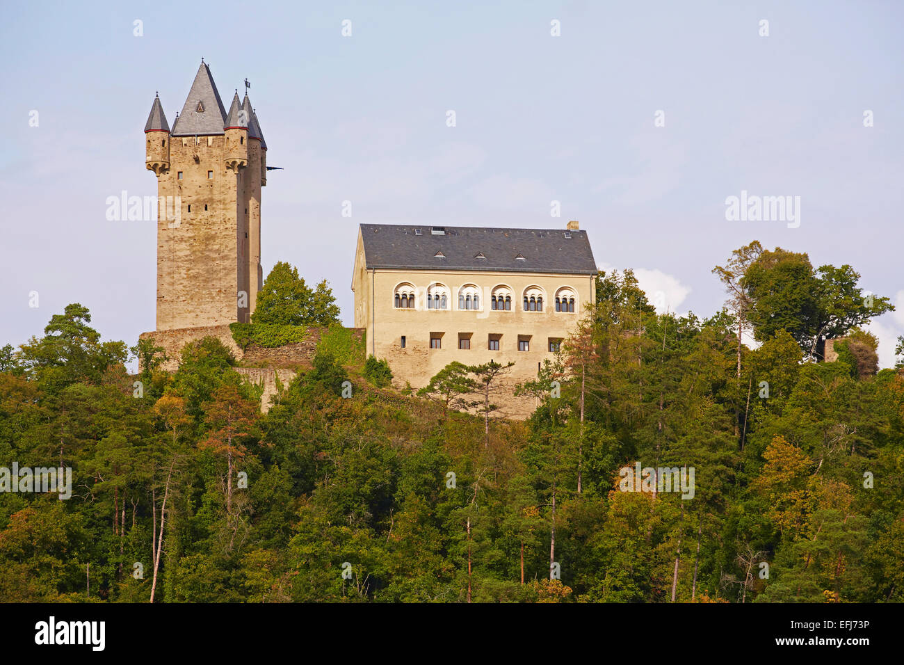 Nassau castle, Nassau, Lahn, Westerwald, Rhineland-Palatinate, Germany ...