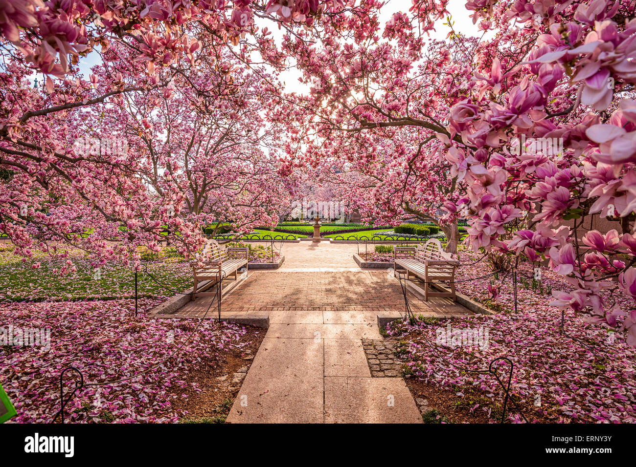 Washington DC, USA spring garden near the National Mall during the