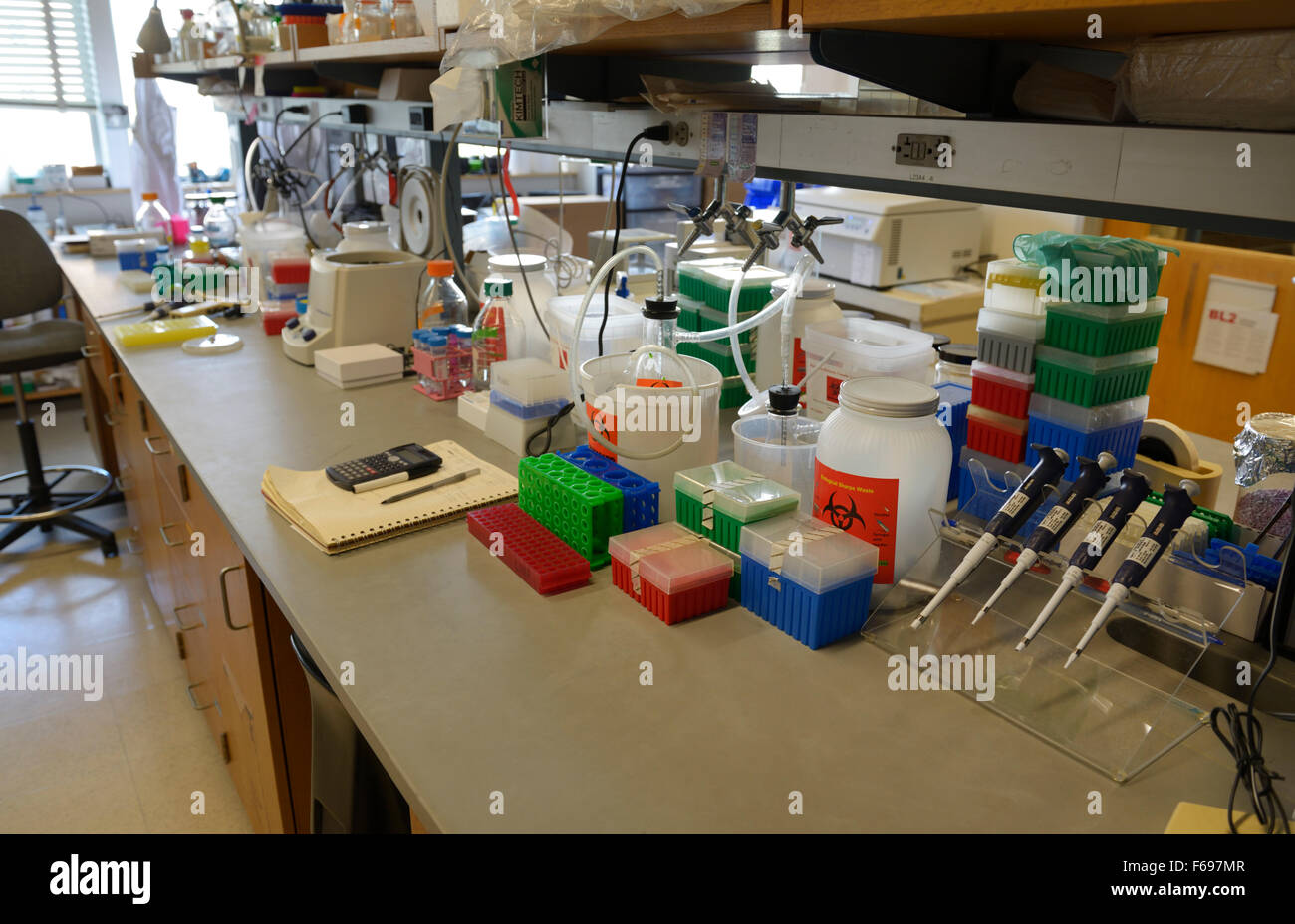 Biotechnology research lab, MIT Stock Photo Alamy