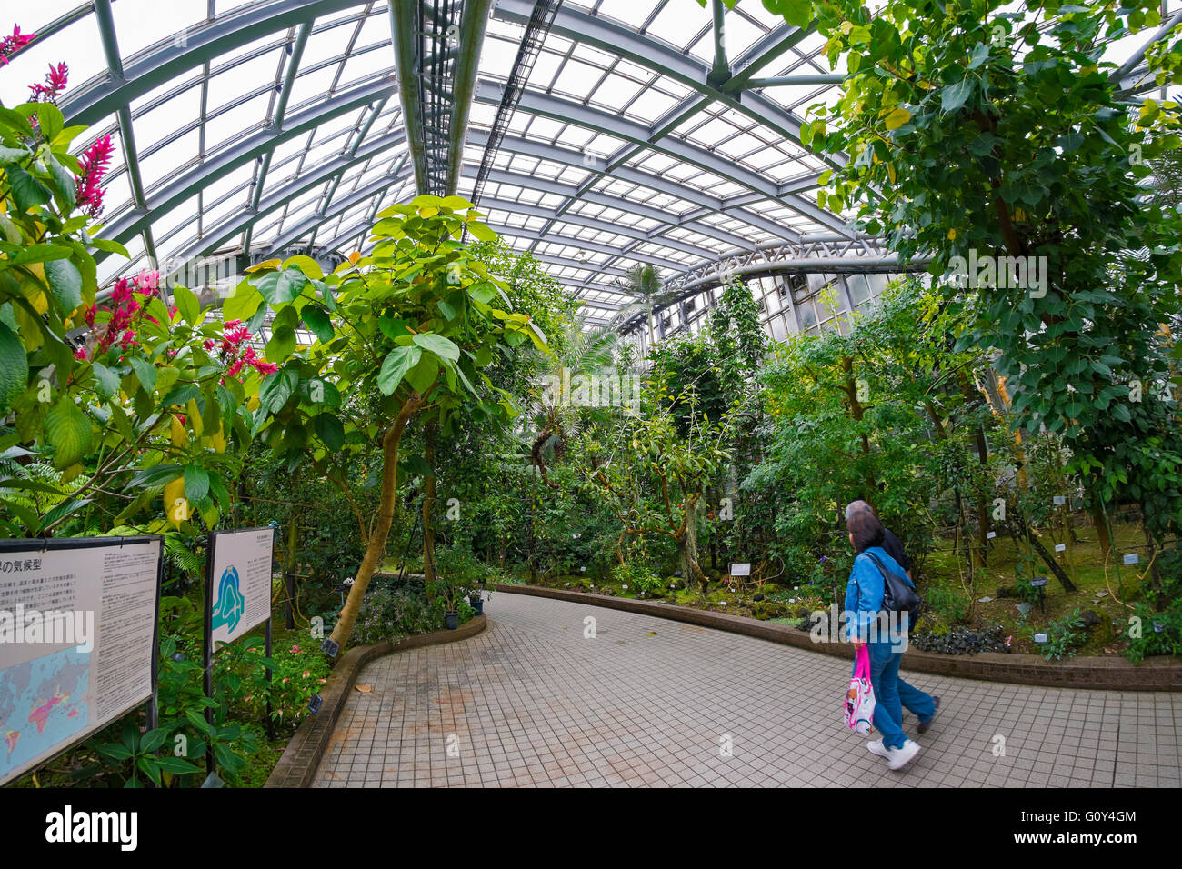 Conservatory Kyoto Botanical Garden Japan Stock Photo Alamy