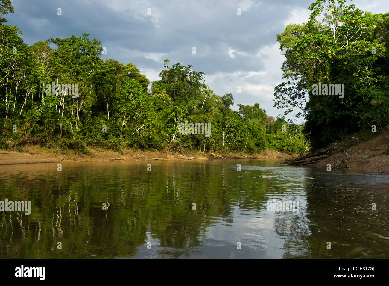 Tiputini River, Yasuni National Park, Amazon, Ecuador Stock Photo - Alamy