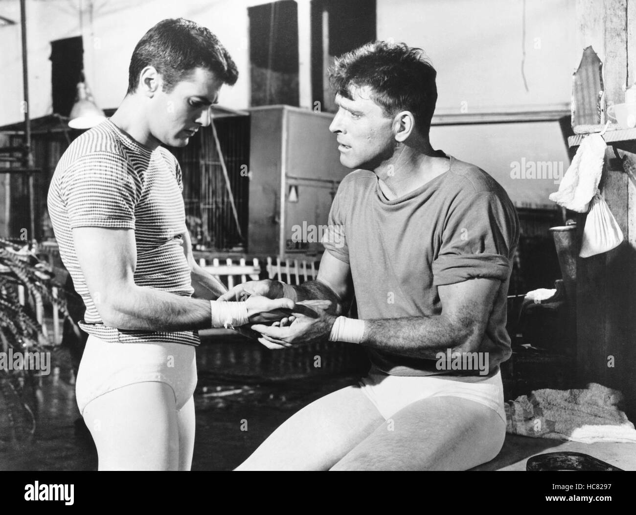 TRAPEZE, from left, Tony Curtis, Burt Lancaster, 1956 Stock Photo - Alamy