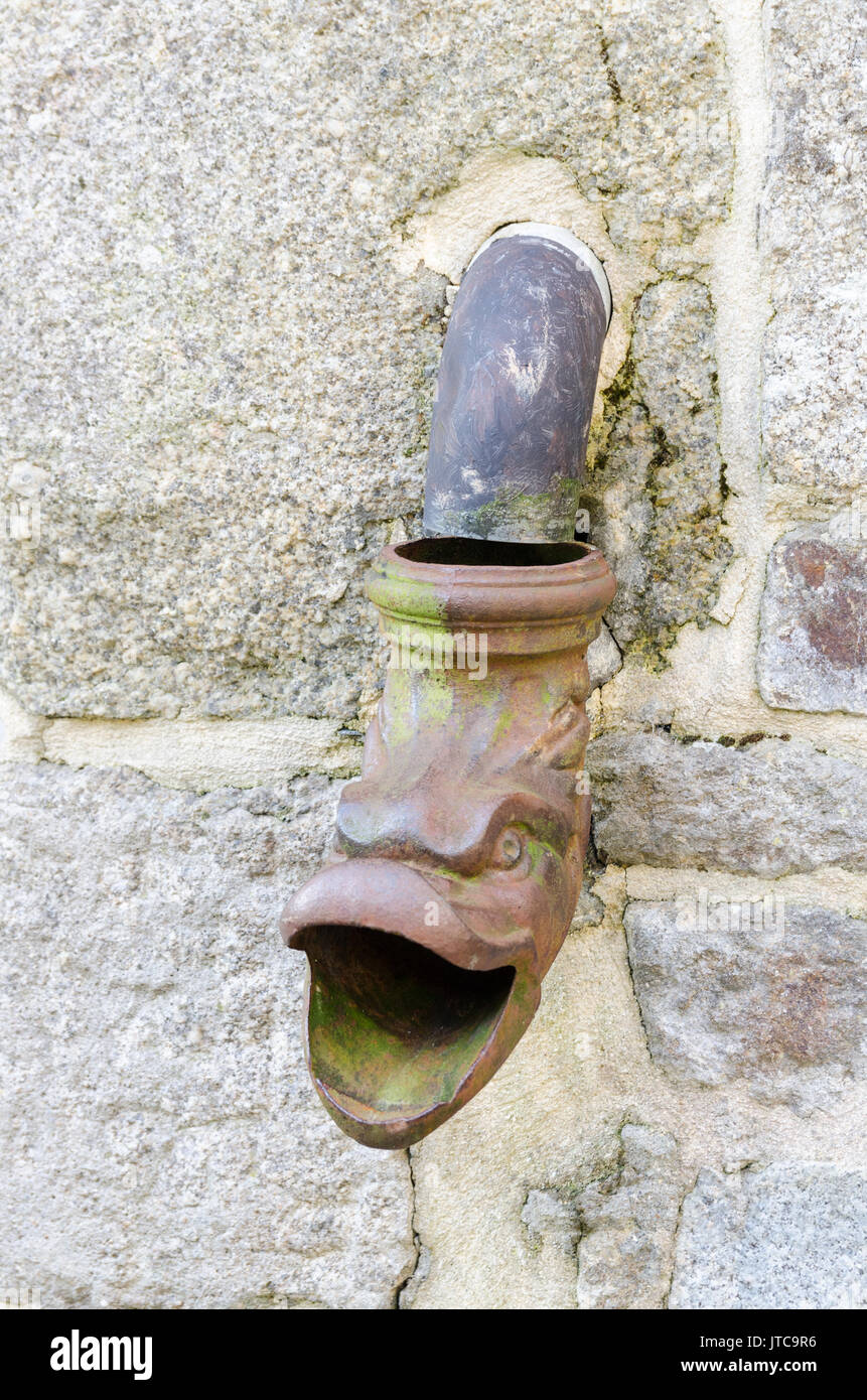 Decorative drain pipe at the Basilique Saint-Sauveur catholic church in ...