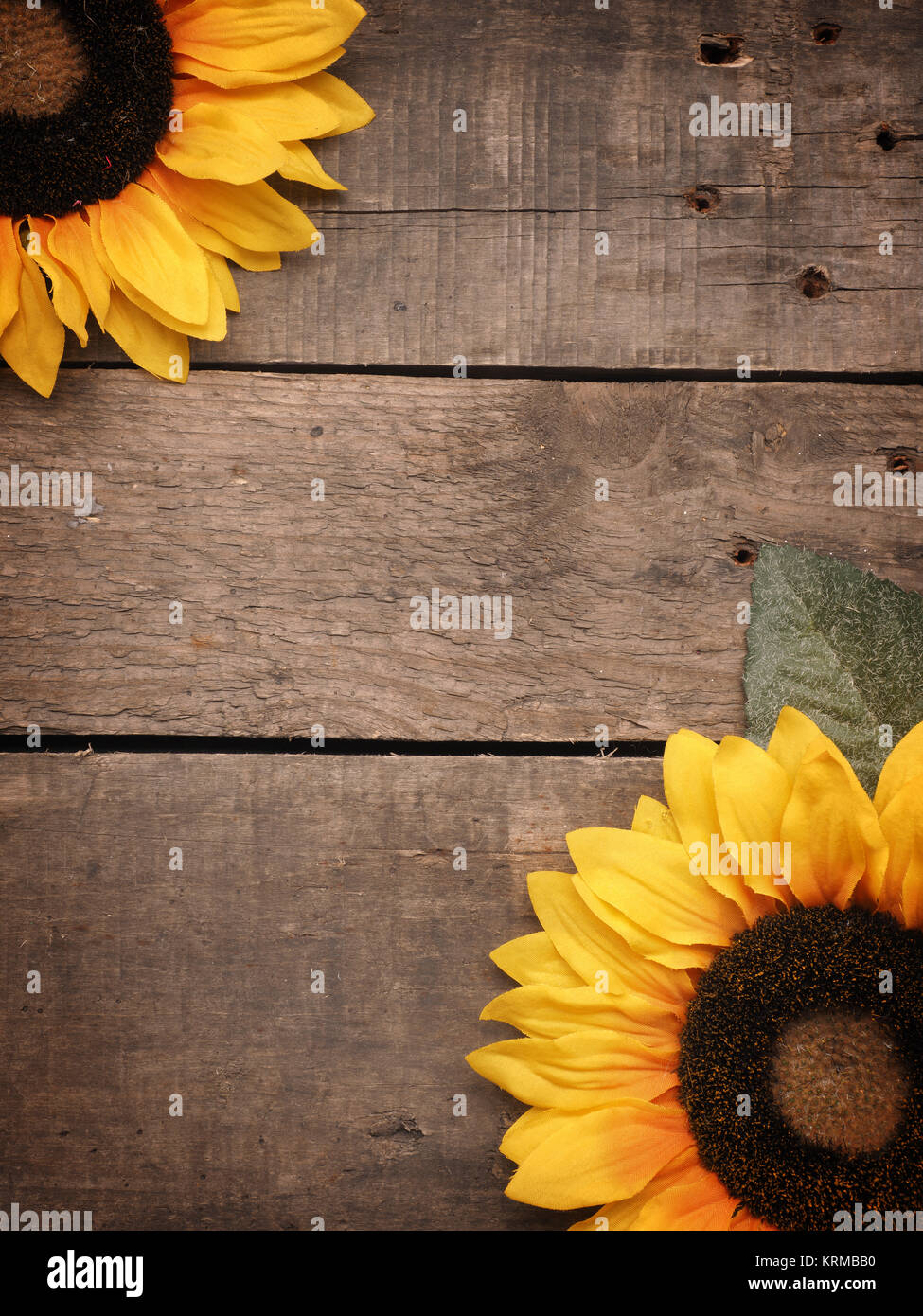 Two sunflowers on a rustic wooden background with space for text ...