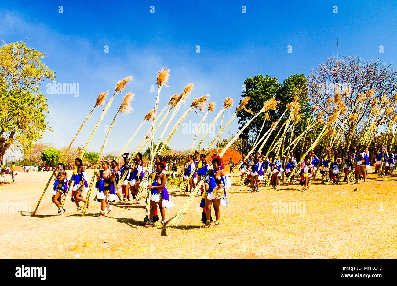 Women In Traditional Costumes Marching At The Umhlanga Aka Reed Dance Ceremony 01 09 2013