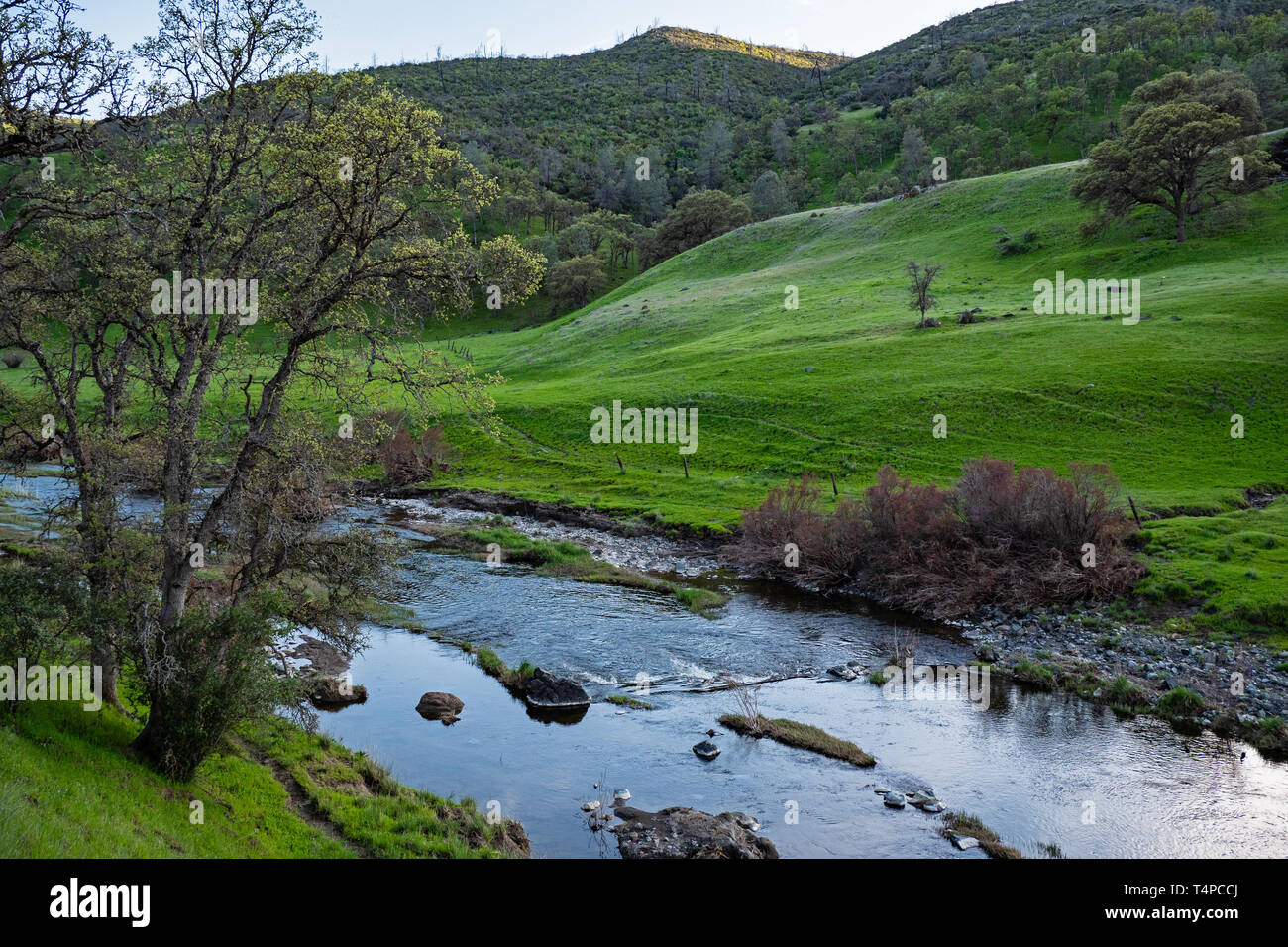Bear Creek Colusa County California Stock Photo Alamy