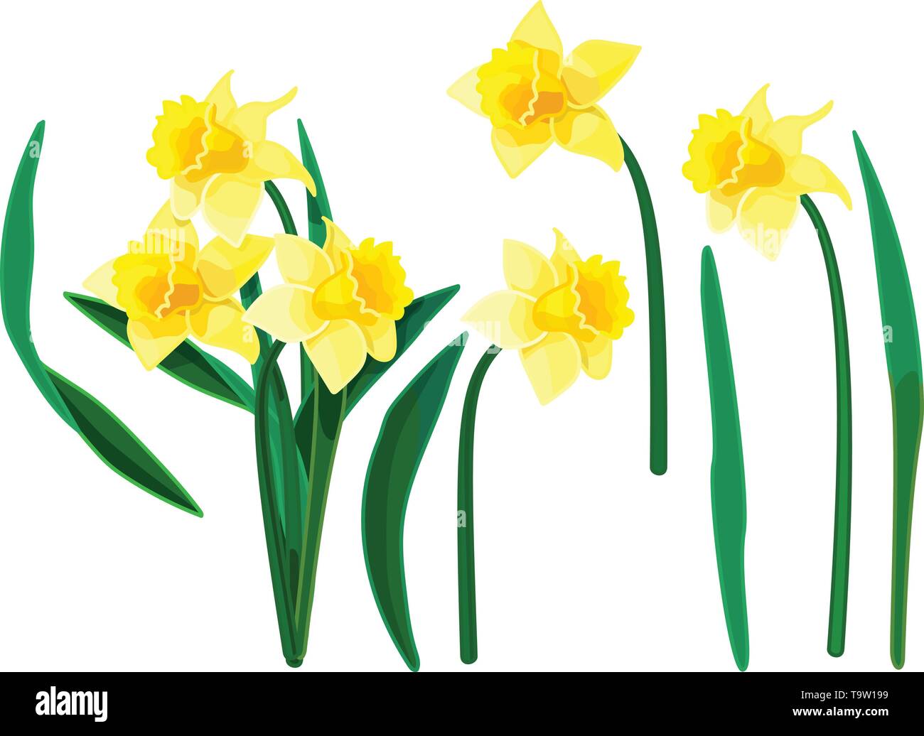 vector cartoon plants nature clip art. Narcissus set Stock Vector Image ...