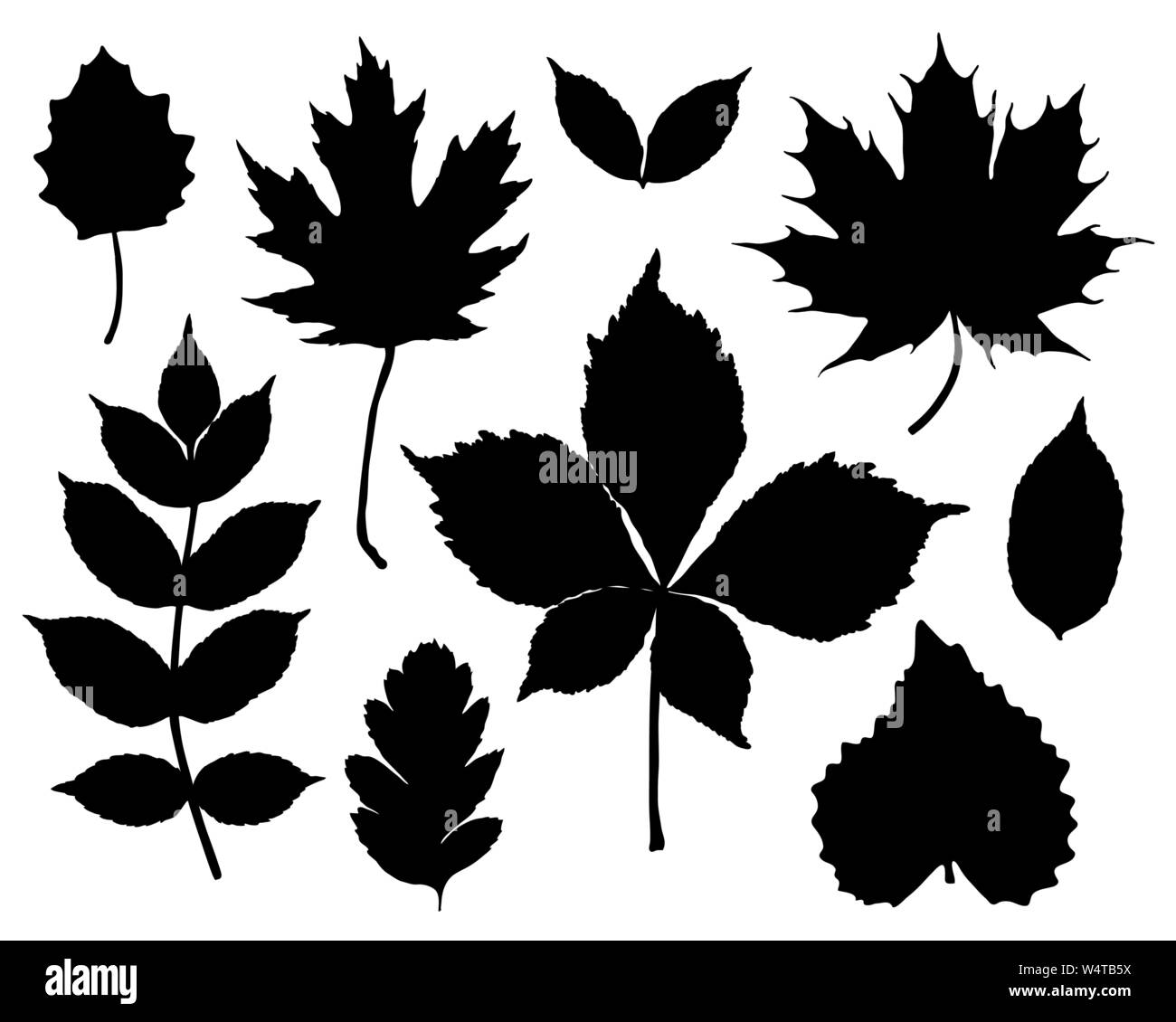 Vector set of leaves silhouette Stock Vector Image & Art - Alamy
