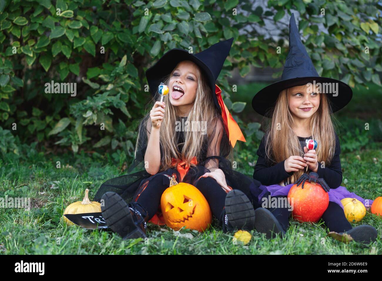 Two funny little girls in witch costumes eating Halloween candy Stock ...