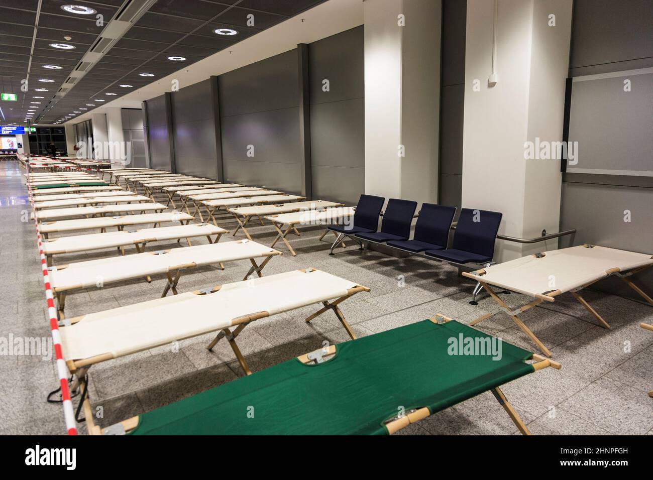 empty camp beds are standing row by row in the airport terminal Stock ...