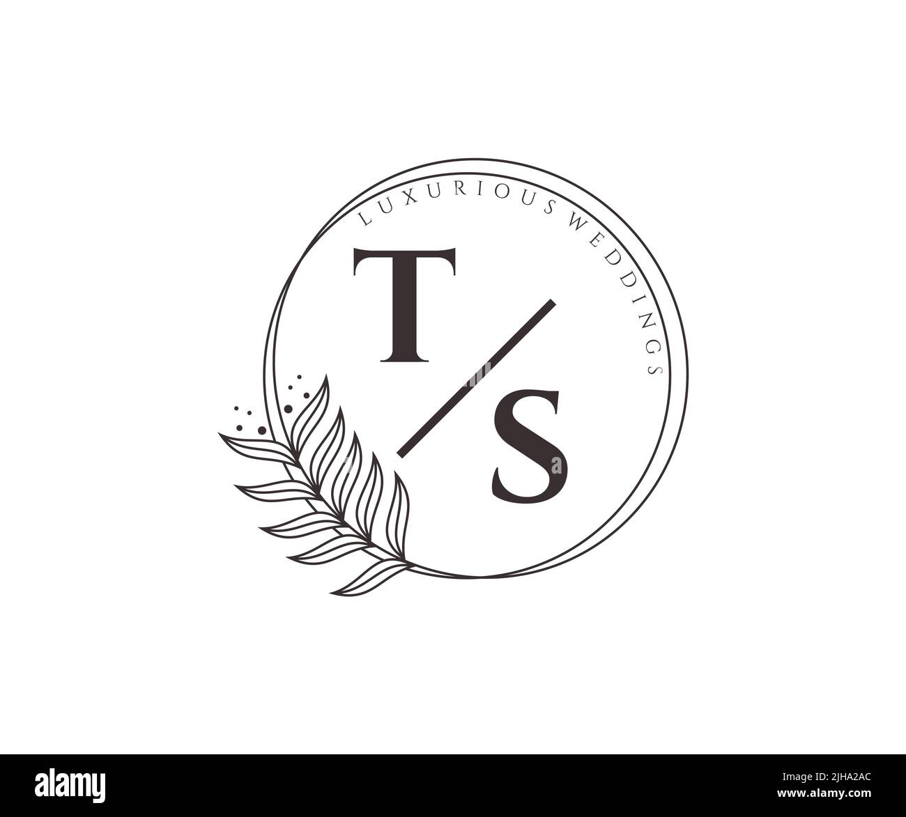 TS Initials letter Wedding monogram logos template, hand drawn modern ...