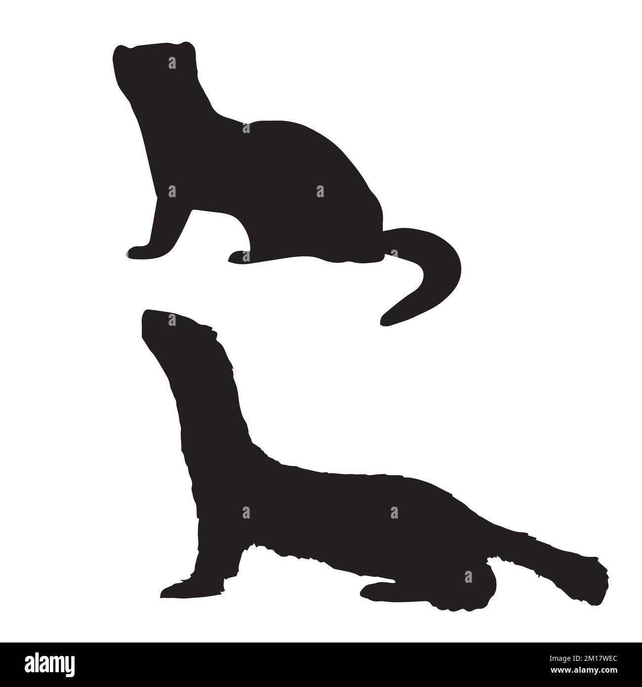 Vector Illustration of Weasel Silhouette Stock Vector Image & Art - Alamy