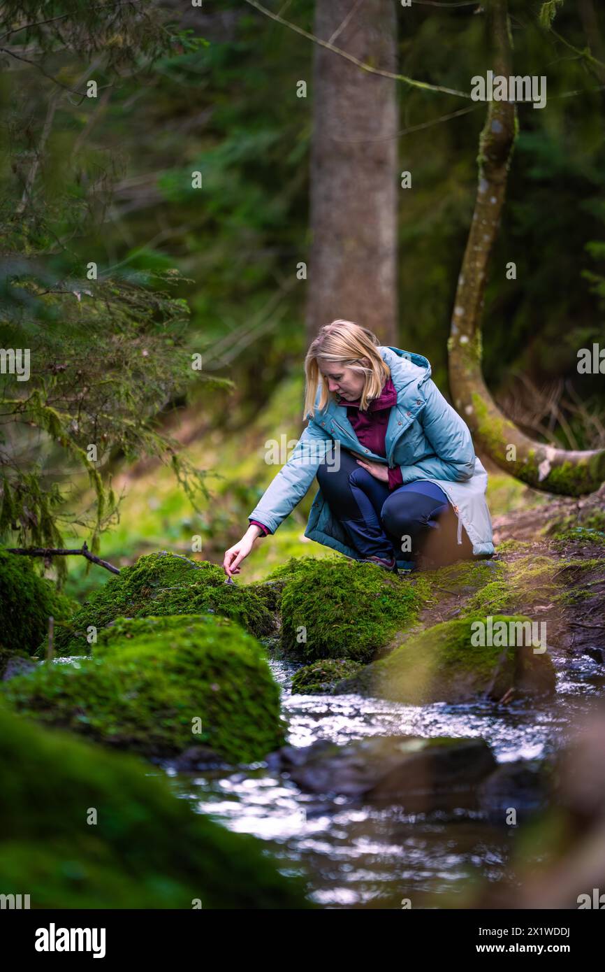 A woman carefully crosses a small, moss-covered stream in the forest ...