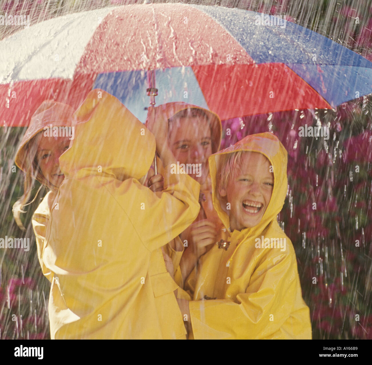 boys and girls playing in rain with umbrella Stock Photo - Alamy